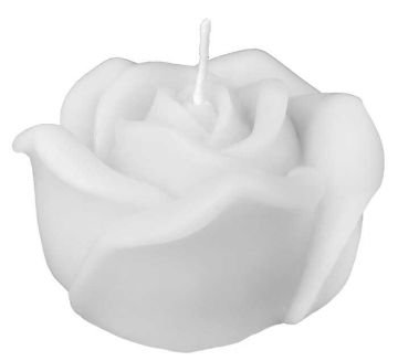 Mum Gül Asetat Kutulu Beyaz